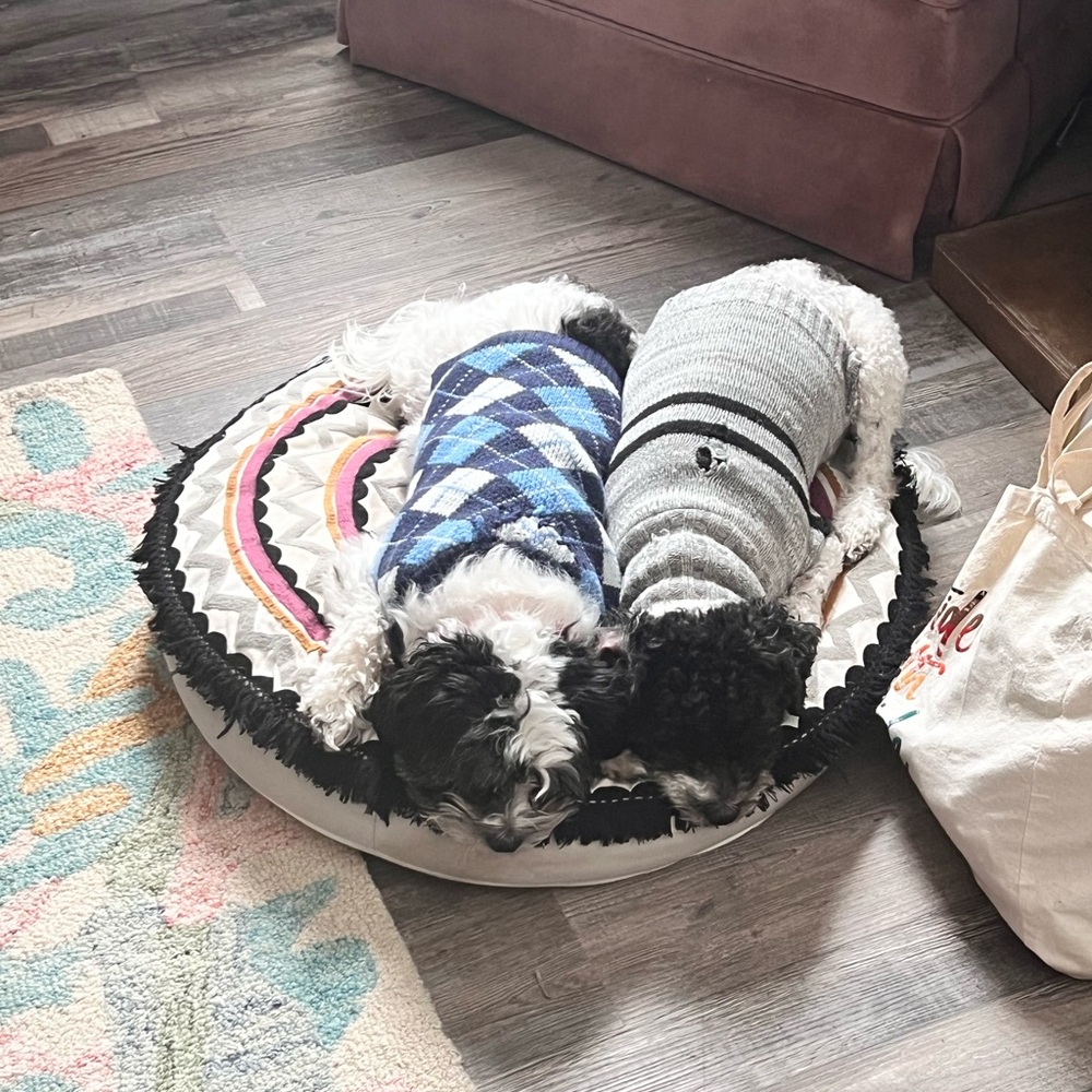 Meet your Posher, Jess